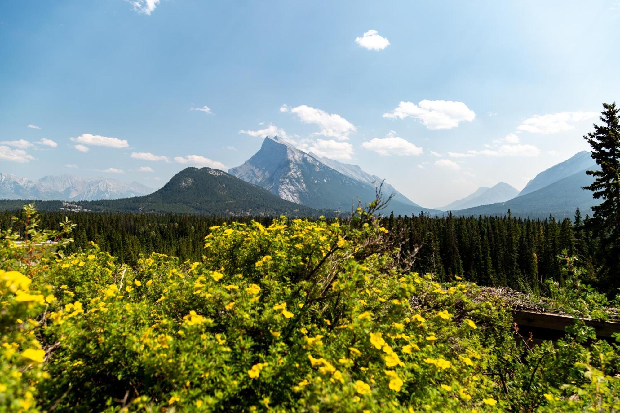 The Juniper Hotel & Bistro Банф Экстерьер фото
